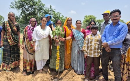 Astral Foundation Plants 10,000 Trees on the World Environment Day