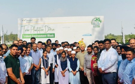 Trident Group Marks Environment Week 2025 with Large-Scale Community Action and Green Initiatives