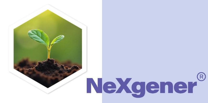 A Revolutionary Step in Eco-Friendly Insulation: Seho Tech Unveils NeXgener(R) Foam Blowing Agent