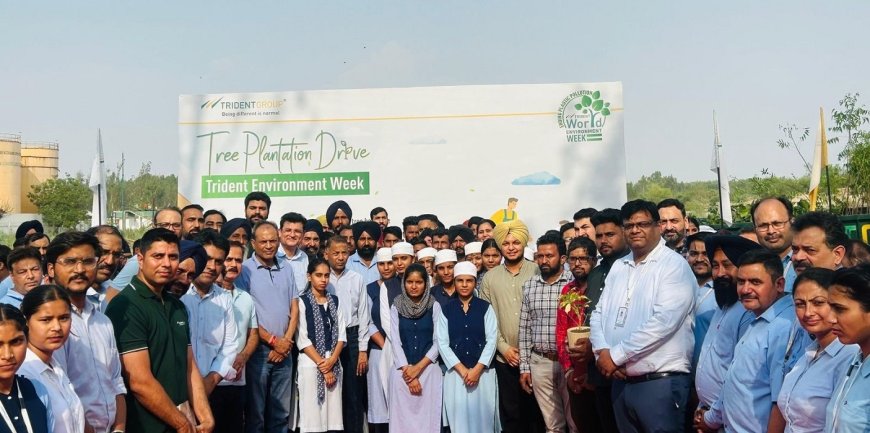 Trident Group Marks Environment Week 2025 with Large-Scale Community Action and Green Initiatives