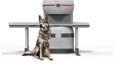 Esaote presents at ECVS 2025 the new generation of veterinary MRI, Vet -MR Grande ELITE