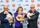Pet Night on Capitol Hill Brings Congress Together in Celebration of America’s Pets
